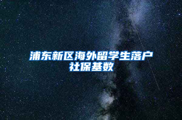 浦东新区海外留学生落户社保基数