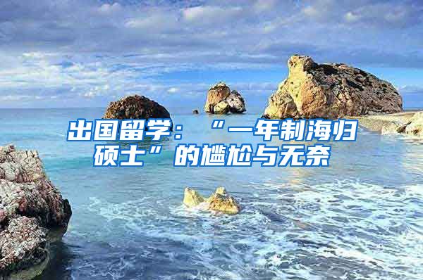 出国留学：“一年制海归硕士”的尴尬与无奈