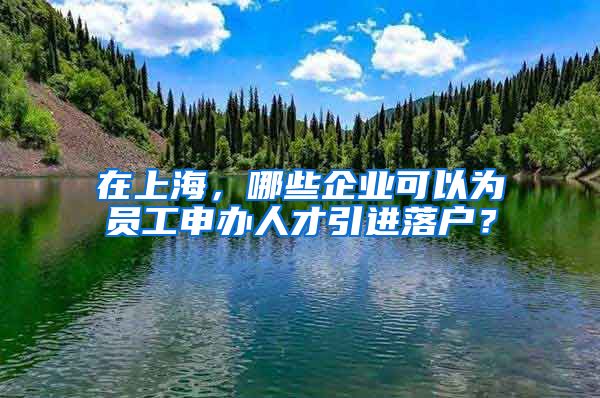 在上海，哪些企业可以为员工申办人才引进落户？