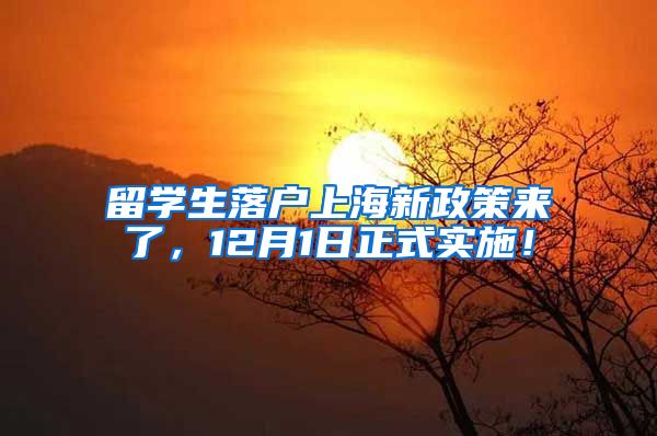留学生落户上海新政策来了，12月1日正式实施！
