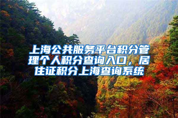 上海公共服务平台积分管理个人积分查询入口，居住证积分上海查询系统