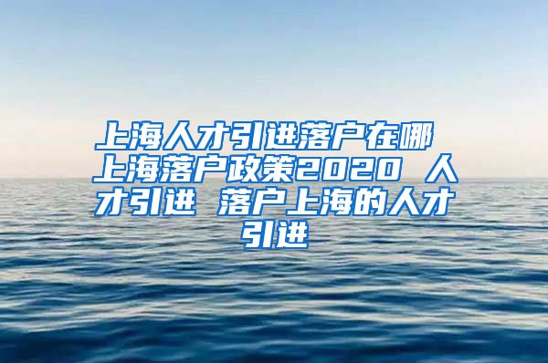 上海人才引进落户在哪 上海落户政策2020 人才引进 落户上海的人才引进