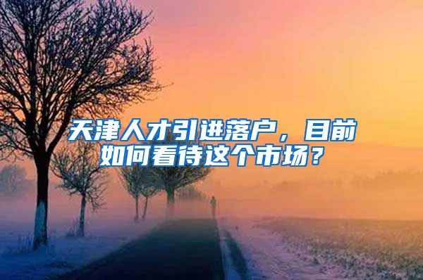 天津人才引进落户，目前如何看待这个市场？