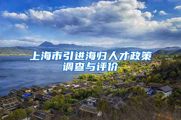 上海市引进海归人才政策调查与评价