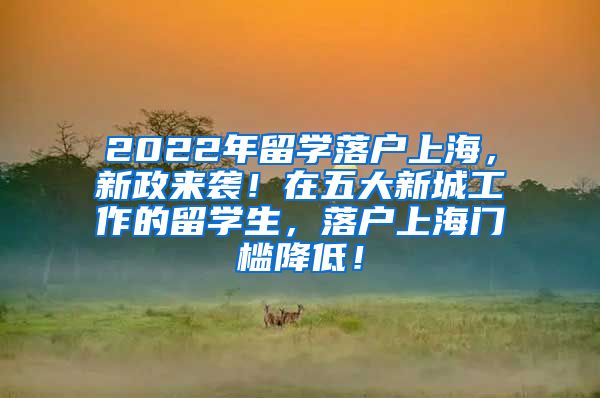 2022年留学落户上海，新政来袭！在五大新城工作的留学生，落户上海门槛降低！