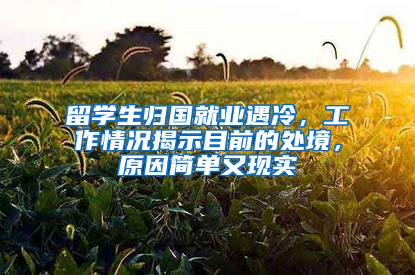 留学生归国就业遇冷，工作情况揭示目前的处境，原因简单又现实