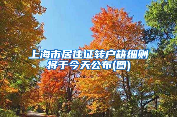 上海市居住证转户籍细则将于今天公布(图)