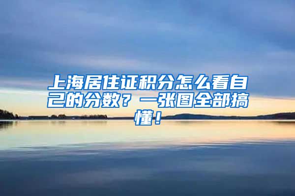 上海居住证积分怎么看自己的分数？一张图全部搞懂！