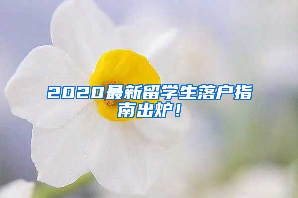 2020最新留学生落户指南出炉！