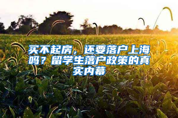 买不起房，还要落户上海吗？留学生落户政策的真实内幕