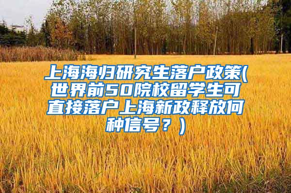 上海海归研究生落户政策(世界前50院校留学生可直接落户上海新政释放何种信号？)