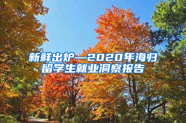 新鲜出炉—2020年海归留学生就业洞察报告