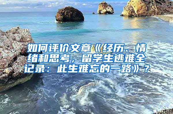 如何评价文章《经历、情绪和思考，留学生逃难全记录：此生难忘的一路》？