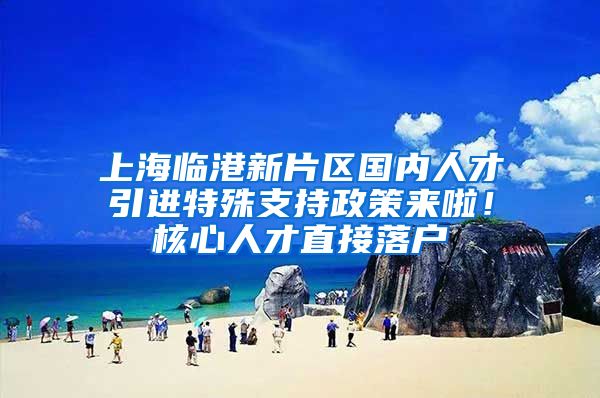 上海临港新片区国内人才引进特殊支持政策来啦！核心人才直接落户