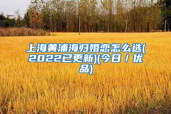 上海黄浦海归婚恋怎么选(2022已更新)(今日／优品)