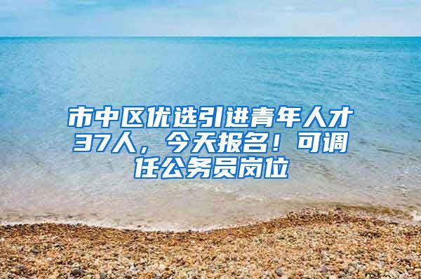 市中区优选引进青年人才37人，今天报名！可调任公务员岗位