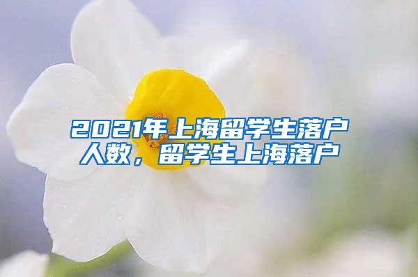 2021年上海留学生落户人数，留学生上海落户