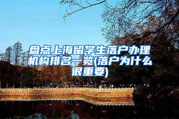 盘点上海留学生落户办理机构排名一览(落户为什么很重要)