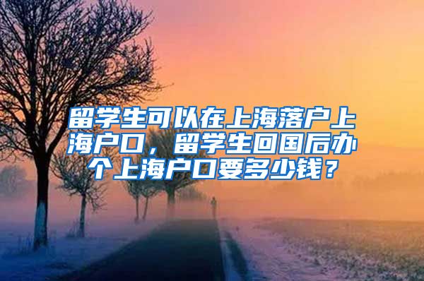 留学生可以在上海落户上海户口，留学生回国后办个上海户口要多少钱？