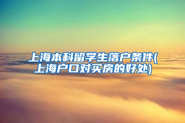 上海本科留学生落户条件(上海户口对买房的好处)