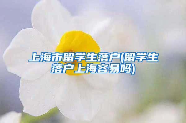 上海市留学生落户(留学生落户上海容易吗)