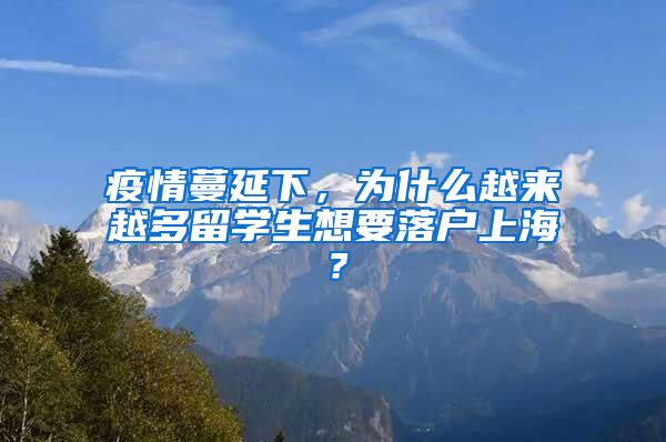 疫情蔓延下，为什么越来越多留学生想要落户上海？