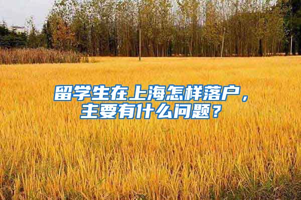 留学生在上海怎样落户，主要有什么问题？