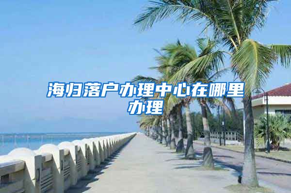 海归落户办理中心在哪里办理