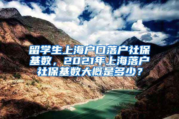 留学生上海户口落户社保基数，2021年上海落户社保基数大概是多少？