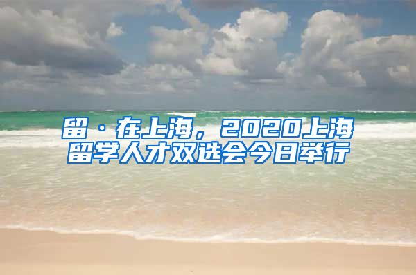 留·在上海，2020上海留学人才双选会今日举行