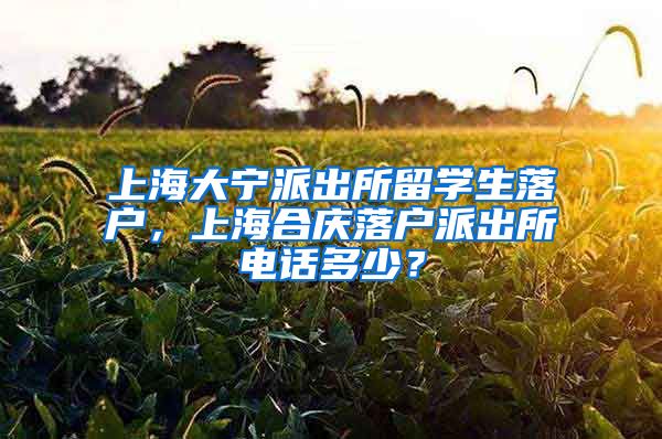 上海大宁派出所留学生落户，上海合庆落户派出所电话多少？