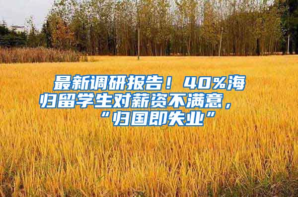 最新调研报告！40%海归留学生对薪资不满意，“归国即失业”