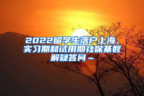 2022留学生落户上海，实习期和试用期社保基数解疑答问～