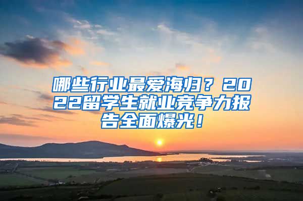 哪些行业最爱海归？2022留学生就业竞争力报告全面爆光！