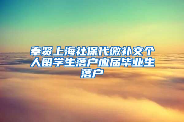 奉贤上海社保代缴补交个人留学生落户应届毕业生落户