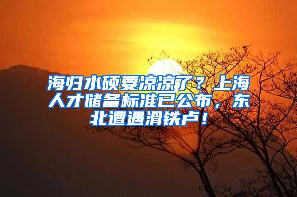 海归水硕要凉凉了？上海人才储备标准已公布，东北遭遇滑铁卢！