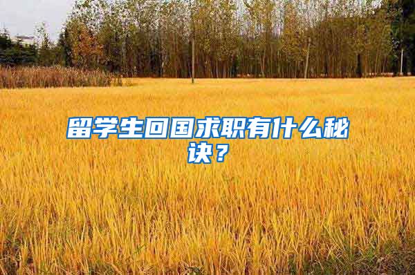 留学生回国求职有什么秘诀？