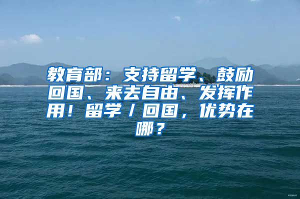 教育部：支持留学、鼓励回国、来去自由、发挥作用！留学／回国，优势在哪？