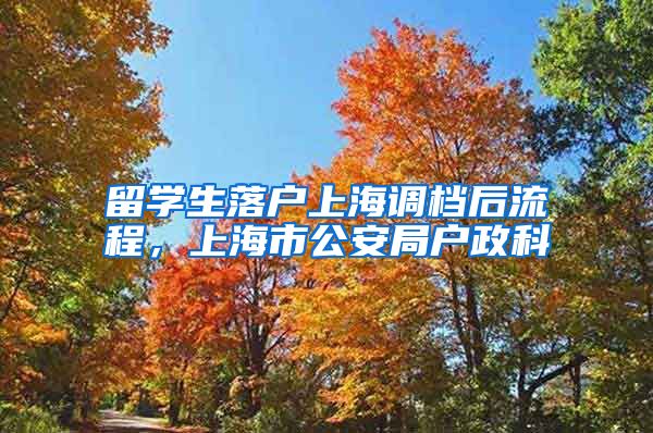 留学生落户上海调档后流程，上海市公安局户政科