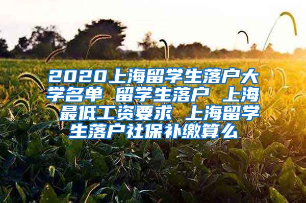 2020上海留学生落户大学名单 留学生落户 上海 最低工资要求 上海留学生落户社保补缴算么