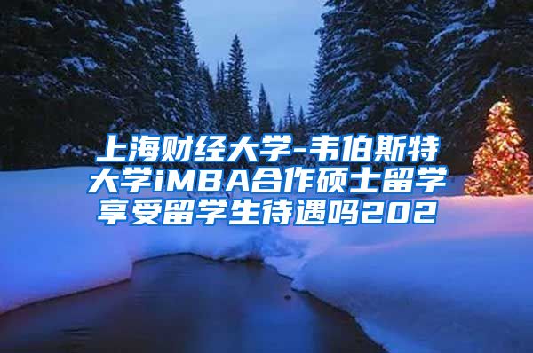 上海财经大学-韦伯斯特大学iMBA合作硕士留学享受留学生待遇吗202