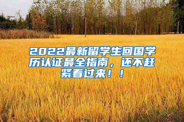 2022最新留学生回国学历认证最全指南，还不赶紧看过来！！