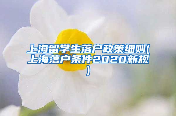 上海留学生落户政策细则(上海落户条件2020新规)