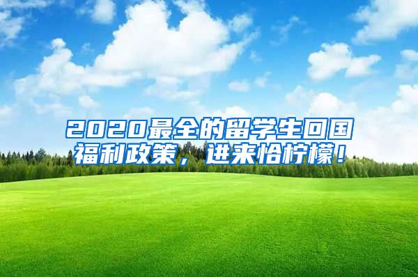 2020最全的留学生回国福利政策，进来恰柠檬！