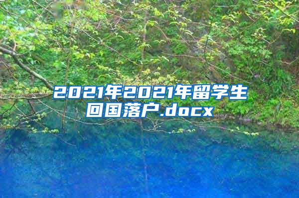 2021年2021年留学生回国落户.docx