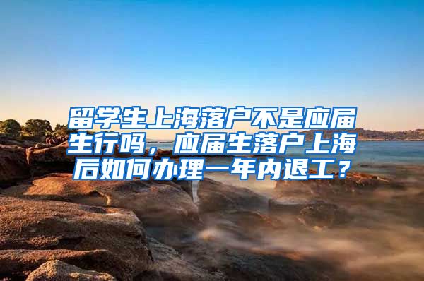 留学生上海落户不是应届生行吗，应届生落户上海后如何办理一年内退工？