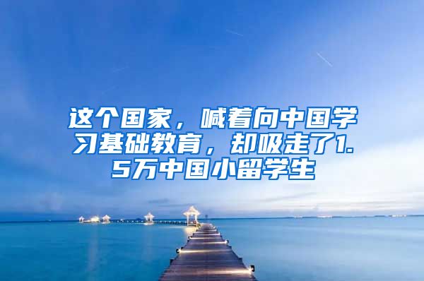 这个国家，喊着向中国学习基础教育，却吸走了1.5万中国小留学生