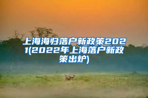 上海海归落户新政策2021(2022年上海落户新政策出炉)