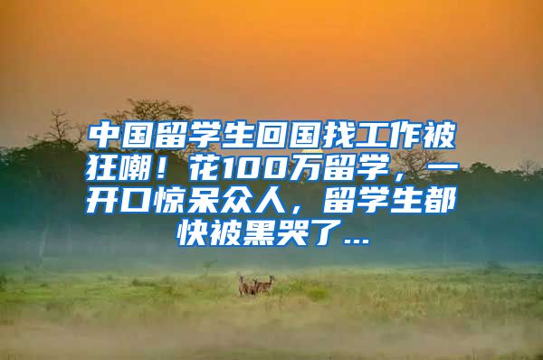 中国留学生回国找工作被狂嘲！花100万留学，一开口惊呆众人，留学生都快被黑哭了...