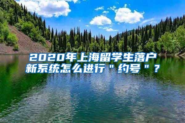 2020年上海留学生落户新系统怎么进行＂约号＂？